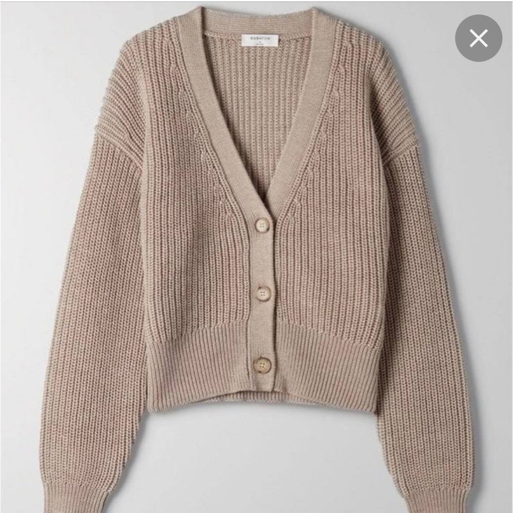 Aritzia (shrunken) Canberra Wool Cardigan